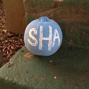 Meet your Posher, Mari